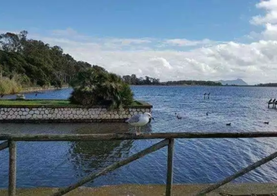 Lago di Fogliano - Latina