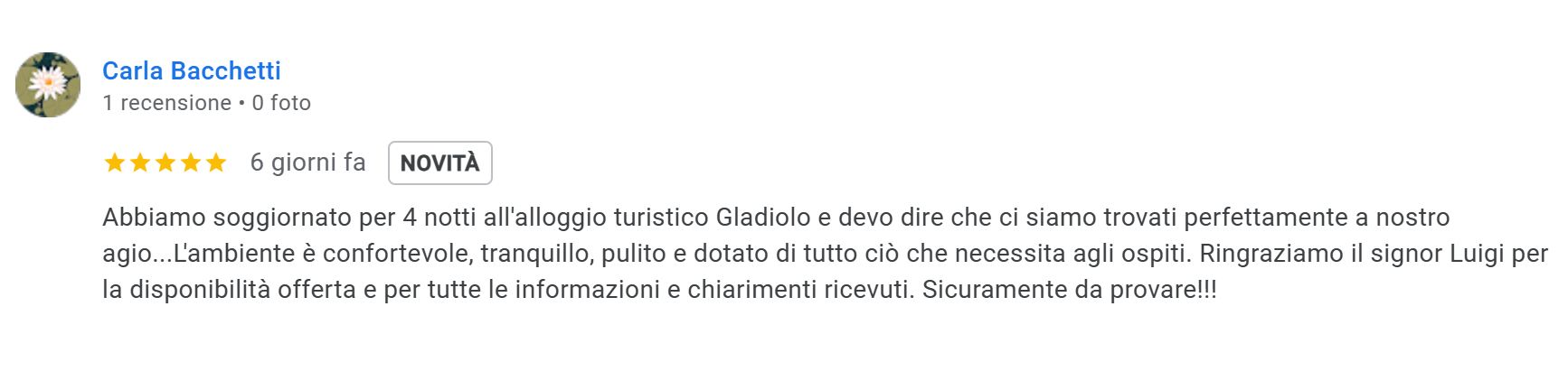 Alloggio Gladiolo Guest House - Latina Scalo - Recensione Google Dicembre 2024