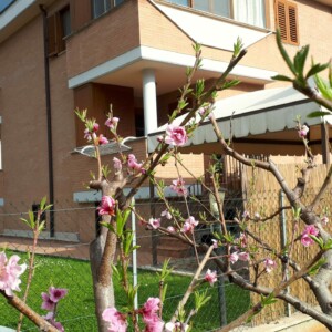 Alloggio Gladiolo Guest House - Latina Scalo - foto 24