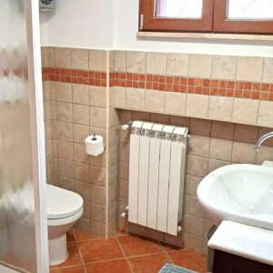 Alloggio Gladiolo - Bagno 03